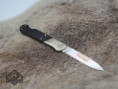 /album/921-wildlife-rehbock/921-rehbock-grena-04-jpg/